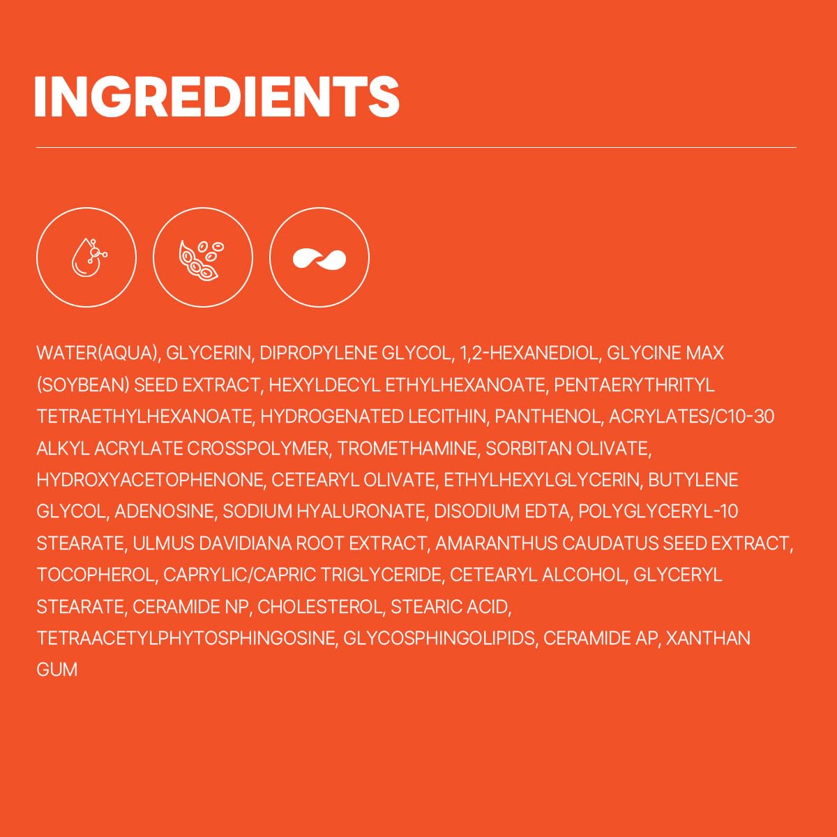 ROUND LAB Soybean Panthenol Ampoule 1.69 Fl Oz, Deep Hydration Serum with Nano Niosome Panthenol, and Ceramides for Skin Barrier Strengthening and Non Sticky Moisture Retention, Korean Skincare